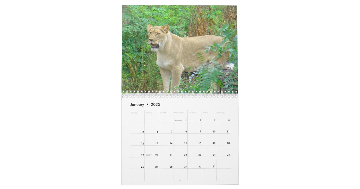 Animals of Brookfield Zoo Calendar Zazzle