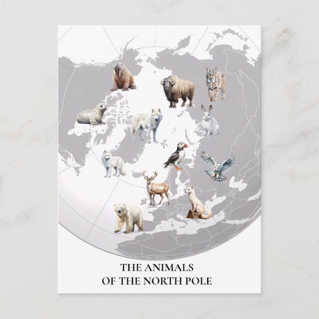  Animals of North Pole Arctic  Postcard (Front)