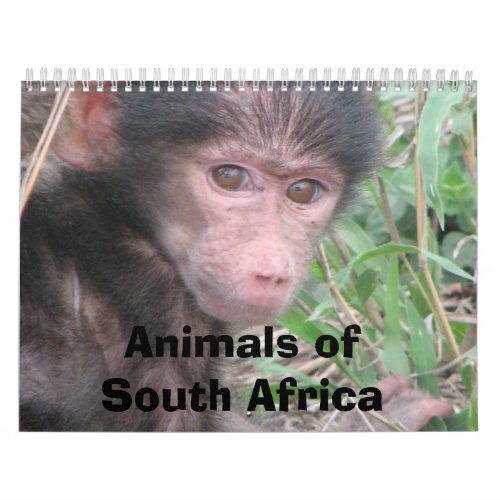 Animals of South Africa Calendar