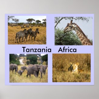 Animals of Tanzania Africa Poster