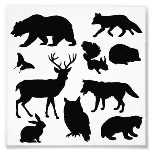 Animals Of The Forest Wildlife Photo Print