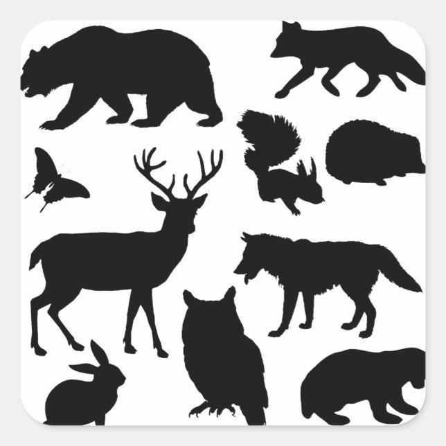 Animals Of The Forest, Wildlife Square Sticker (Front)