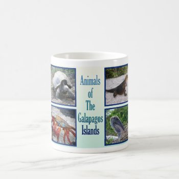 Animals Of The Galapagos Islands Coffee Mug by FrogCreek at Zazzle