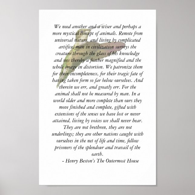 Animals of The Outermost House Poster (Front)