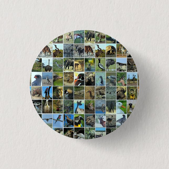 Animals of the world button (Front)