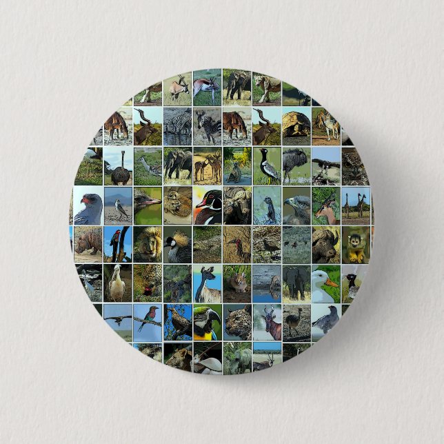 Animals of the world button (Front)