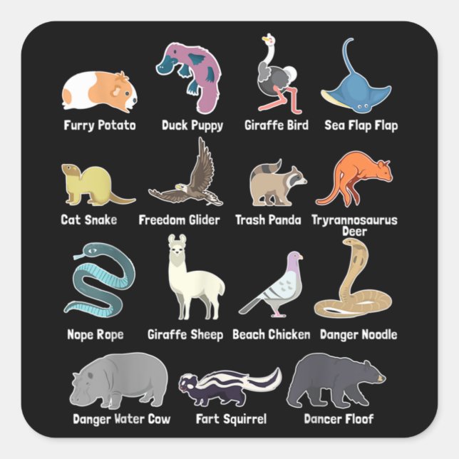 Animals Of The World - Rare Exotic Animals Funny M Square Sticker (Front)