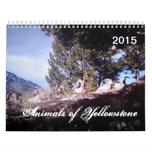 Animals of Yellowstone Custom Printed Calendar