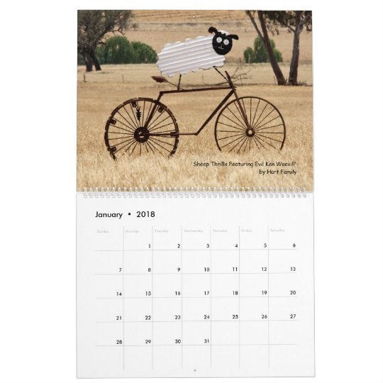 Animals on Bikes Calendar