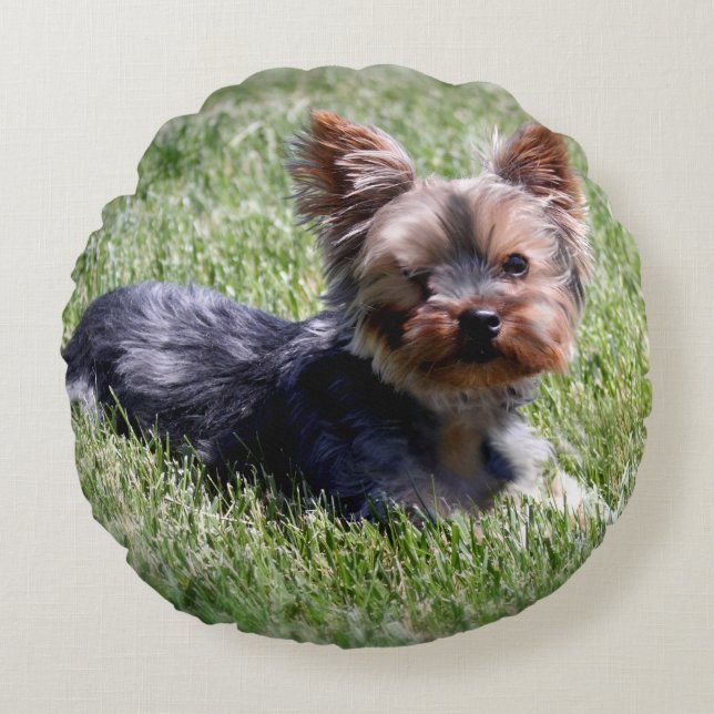 Animals Pets Dog Adorable Yorkie Round Pillow (Front)