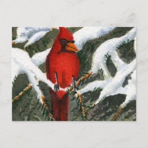 Animals Postcard