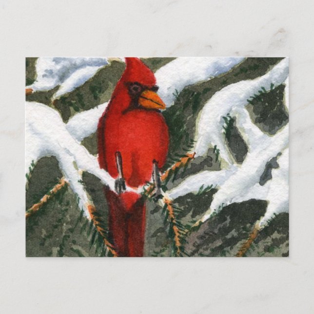 Animals Postcard (Front)