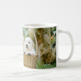 Animals Puppy Canine Pet Dogs Coffee Mug