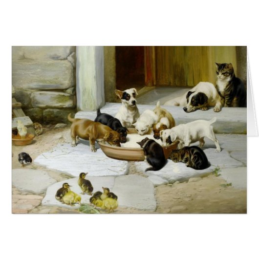Animals Sharing a Bowl of Milk, Cards (Front Horizontal)