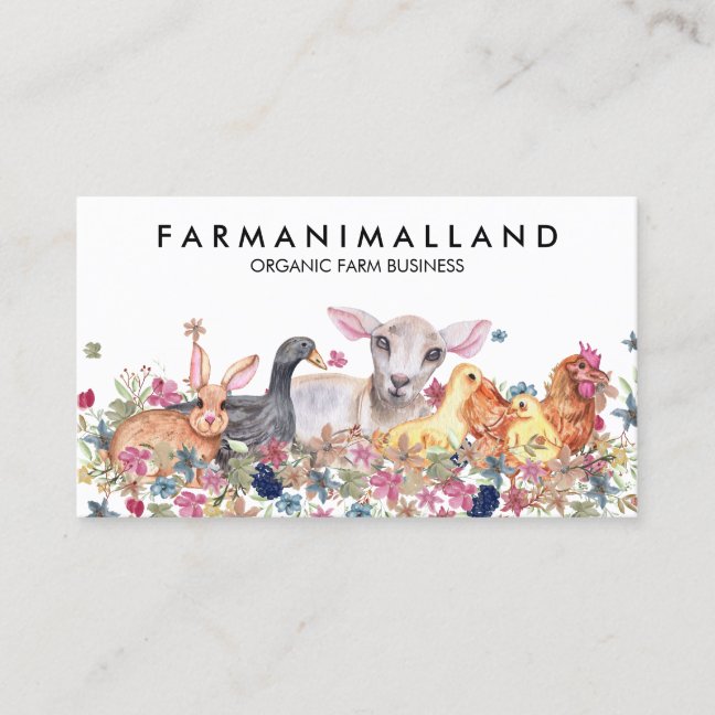 Rustic Farm Branding