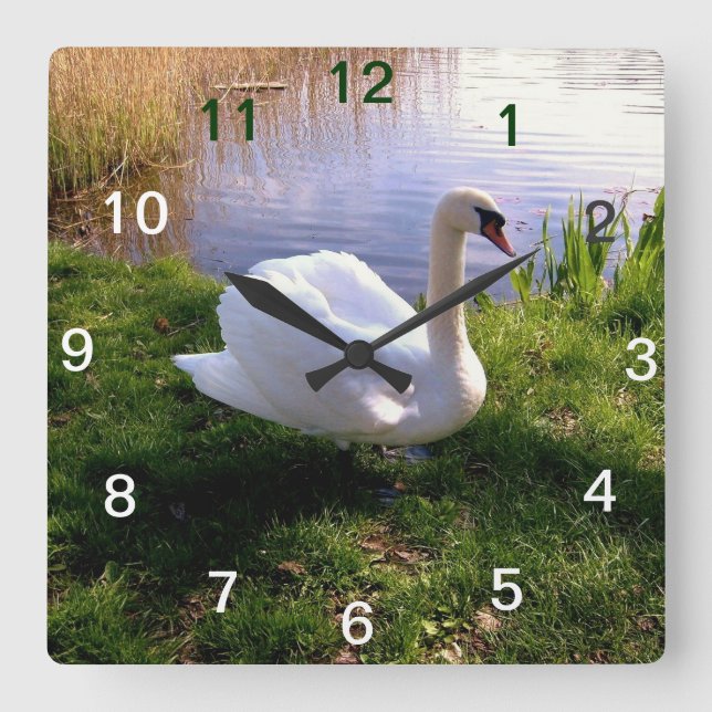 Animals Square Wall Clock (Front)