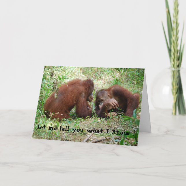 Animals Telling Secrets birthday #2 Card (Front)