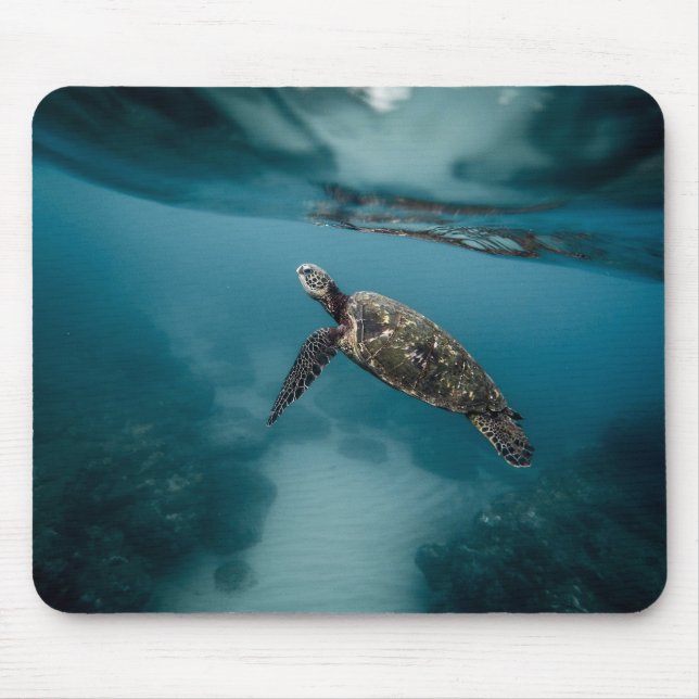 Animals, turtles, water mouse pad (Front)