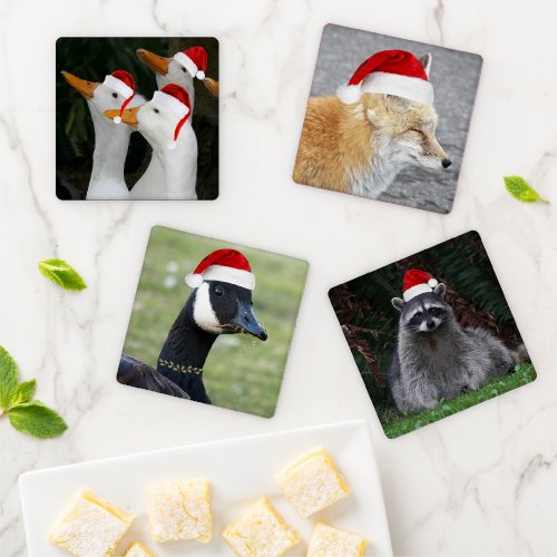 Animals Wearing Santa Hats Holiday Coaster Set