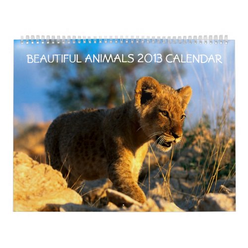 Animals Wildlife 2013 beautiful wall calendar