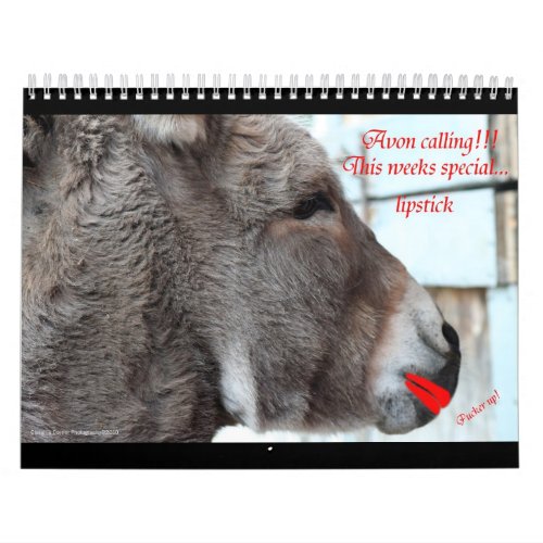 Animals with attitude calendar