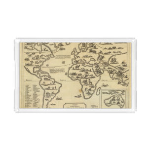 Animals World Acrylic Tray