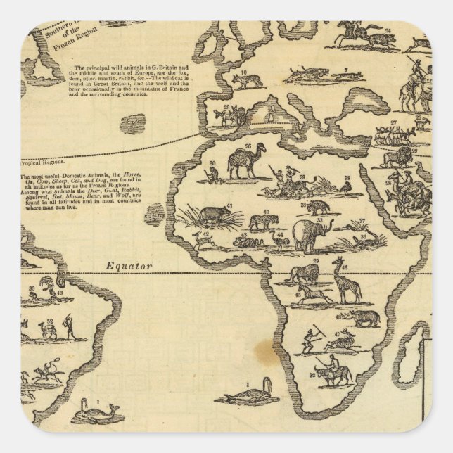 Animals World Square Sticker (Front)