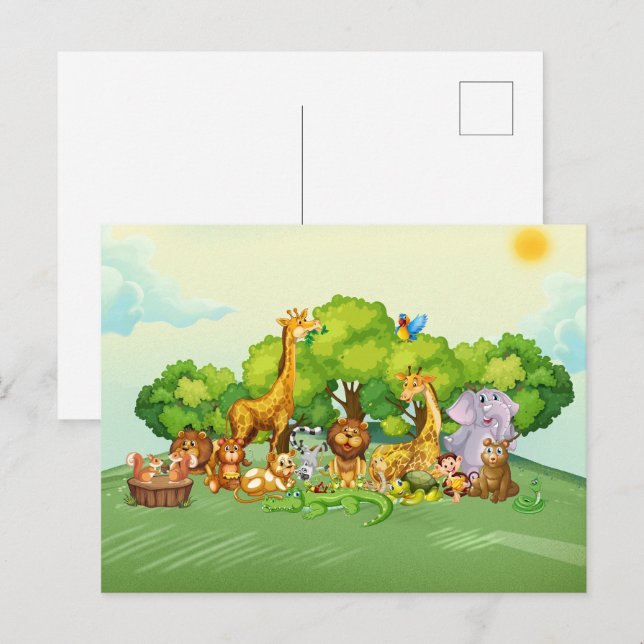 Animals zoo cartoon postcard (Front/Back)