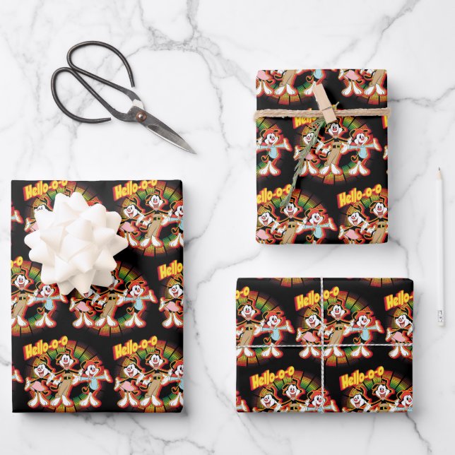 Animaniacs | Hello-o-o Retro Equalizer Graphic Wrapping Paper Sheets (Front)