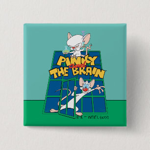 Animaniacs   Pinky and The Brain Cage Graphic Button