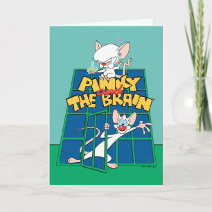 Animaniacs Pinky and The Brain Cage Graphic Card