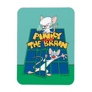 Animaniacs | Pinky and The Brain Cage Graphic Magnet