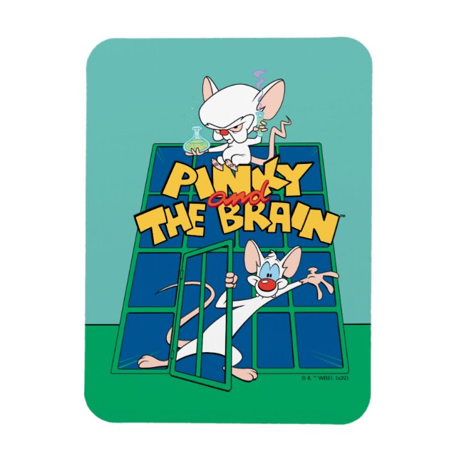 Animaniacs | Pinky and The Brain Cage Graphic Magnet (Vertical)