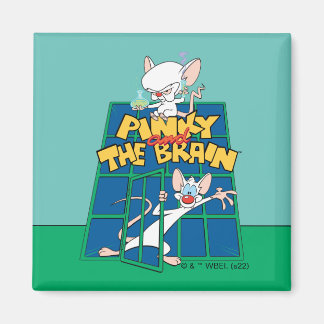 Animaniacs | Pinky and The Brain Cage Graphic Magnet