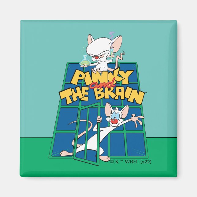 Animaniacs | Pinky and The Brain Cage Graphic Magnet (Front)