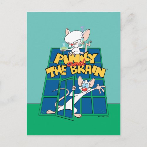 Animaniacs  Pinky and The Brain Cage Graphic Postcard