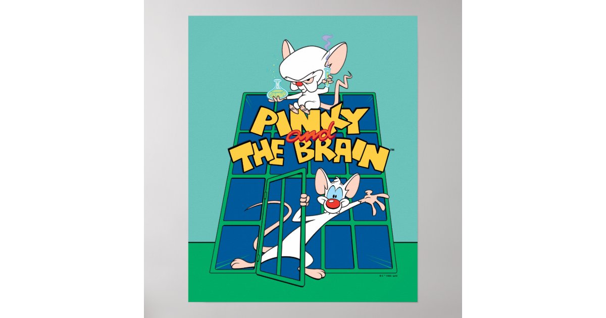 pinky and the brain