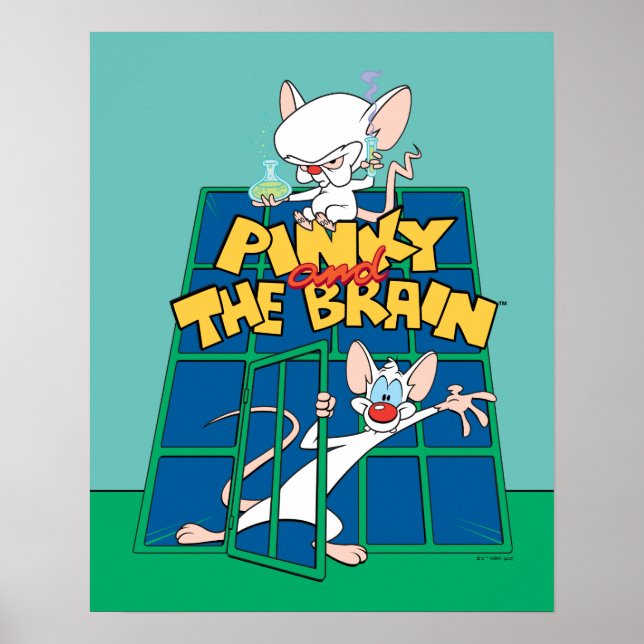 Animaniacs | Pinky and The Brain Cage Graphic Poster (Front)