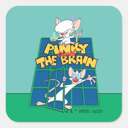 Animaniacs  Pinky and The Brain Cage Graphic Square Sticker
