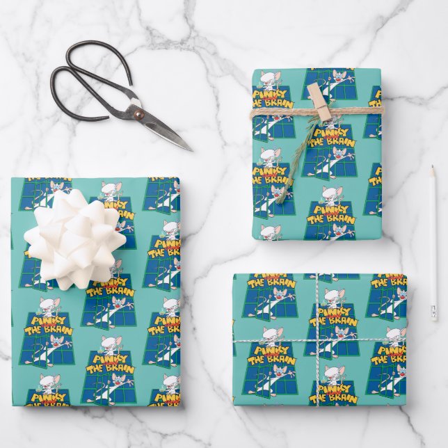 Animaniacs | Pinky and The Brain Cage Graphic Wrapping Paper Sheets (Front)