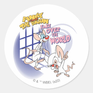 Animaniacs   Take Over The World Graphic Classic Round Sticker