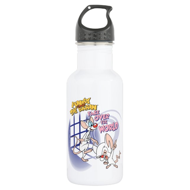 Animaniacs | Take Over The World Graphic Stainless Steel Water Bottle (Front)