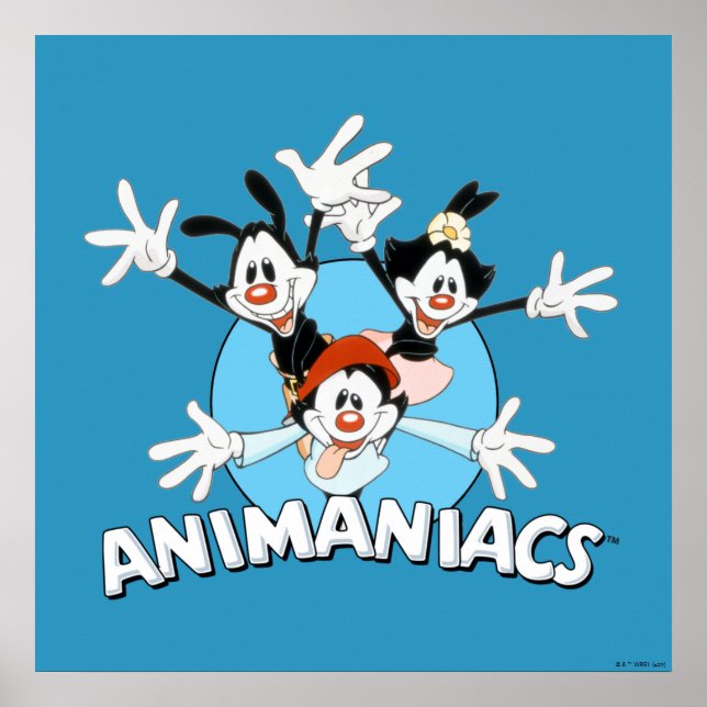 Animaniacs | Warner Siblings Arms Wide Graphic Poster (Front)