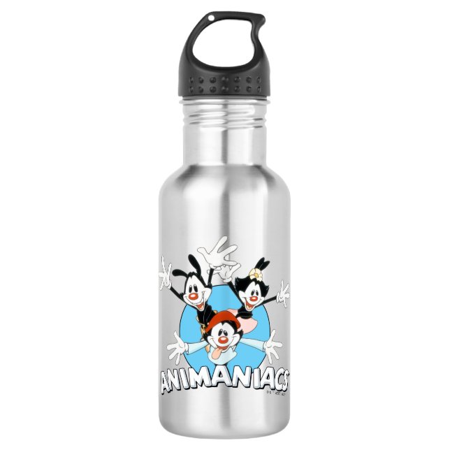 Animaniacs | Warner Siblings Arms Wide Graphic Stainless Steel Water Bottle (Front)