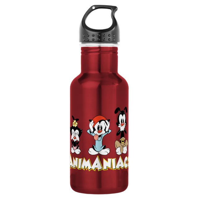 Animaniacs | Warner Siblings "No Evil" Graphic Stainless Steel Water Bottle (Front)