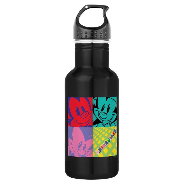 Animaniacs | Warner Siblings Pop Art Graphic Stainless Steel Water Bottle (Front)
