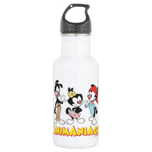 Animaniacs   Yakko, Dot, and Wakko Standing Stainless Steel Water Bottle