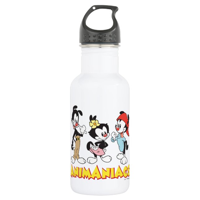 Animaniacs | Yakko, Dot, and Wakko Standing Stainless Steel Water Bottle (Front)