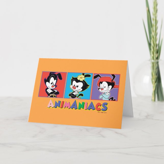 Animaniacs | Yakko, Dot, & Wakko Panel Graphic Card (Front)