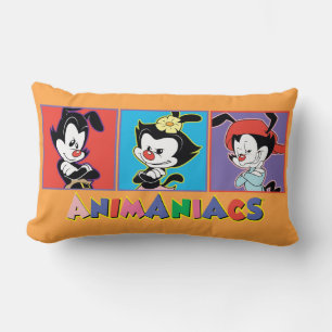 Animaniacs   Yakko, Dot, & Wakko Panel Graphic Lumbar Pillow